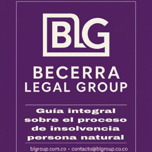 Guía integral sobre el proceso de insolvencia persona natural