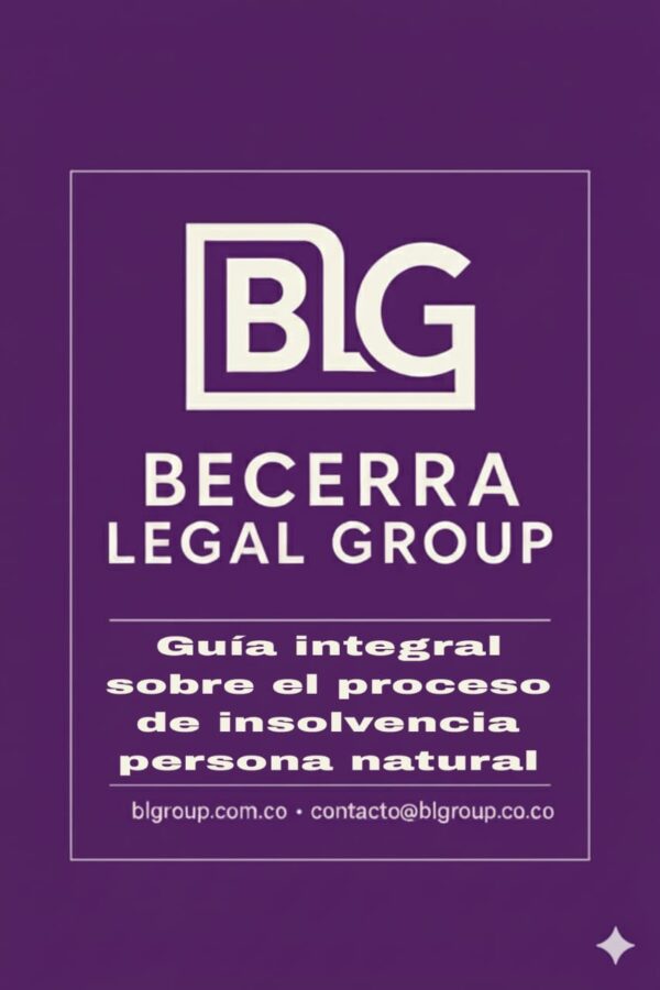 Guía integral sobre el proceso de insolvencia persona natural